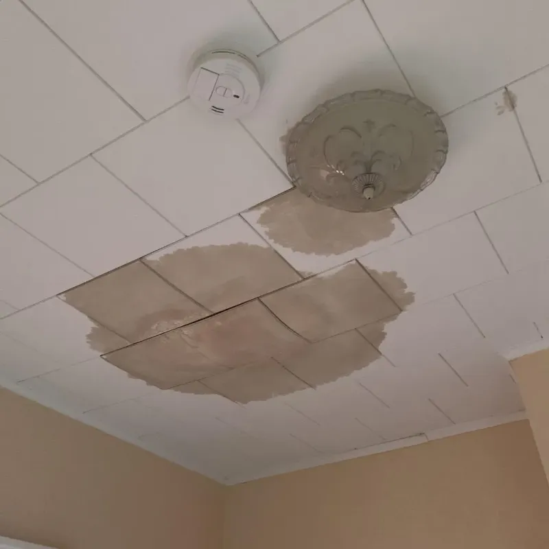 Ceiling Water Damage Repair in Jefferson County, IL