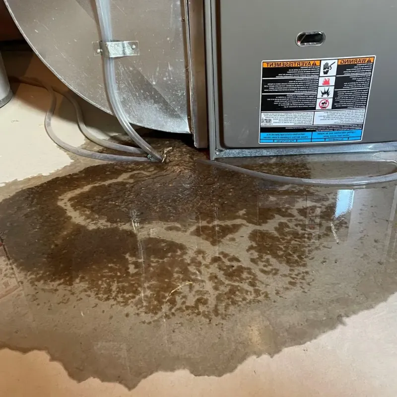 Pipe Burst and Leak Restoration in Jefferson County, IL