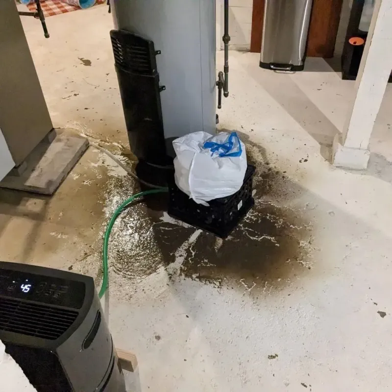 Sewage Backup Cleanup Service in Jefferson County, IL